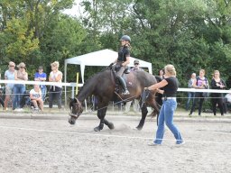 IMG_1377_web